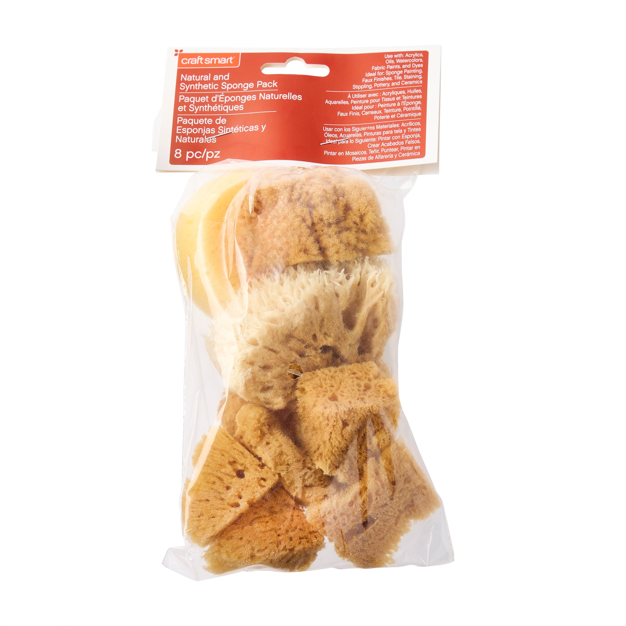 Variety Sponge Value Pack by Craft Smart®